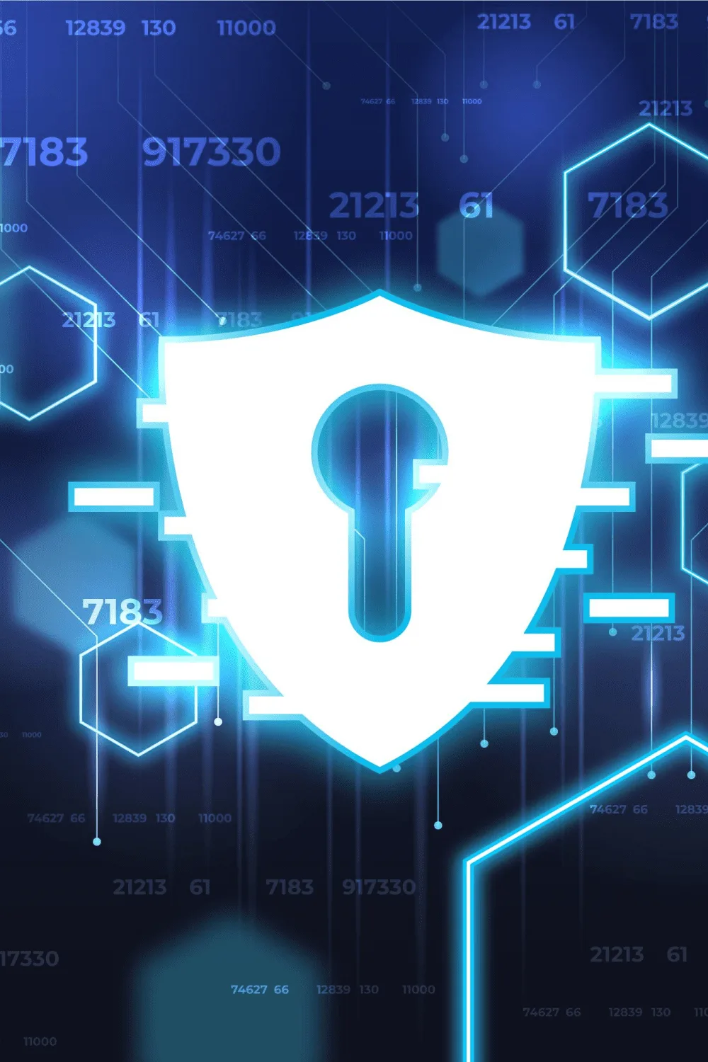 digital security